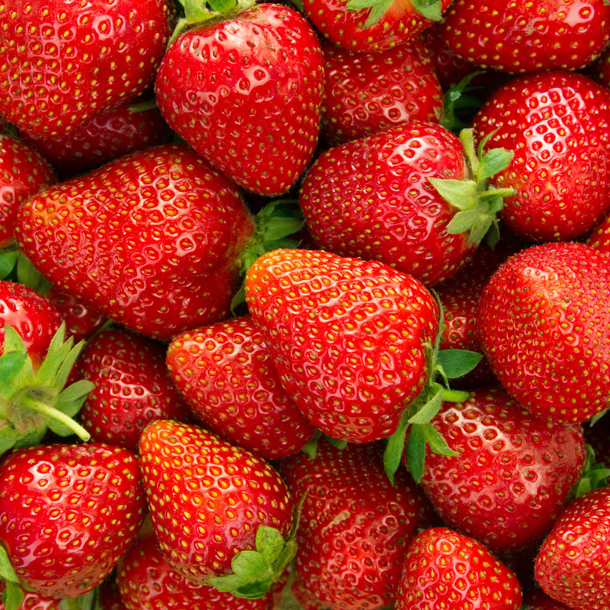 Strawberry Spectacular Save On Foods Strawberry Spectacular Save On Foods