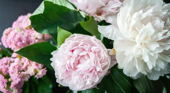 peony bouquet